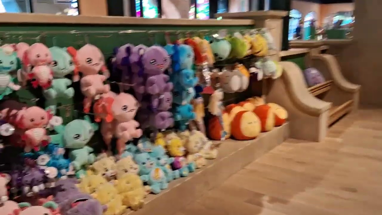 Plopsaland ingang/dorpsplein en vernieuwde winkel verkennen