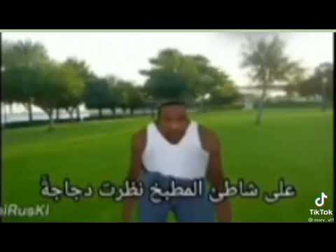 على شاطئ المطبخ نظرت دجاجة   