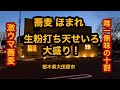 蕎麦 ほまれ（栃木県大田原市）生粉打ち天せいろ大盛り