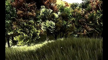 nature test (unity3d dx9)
