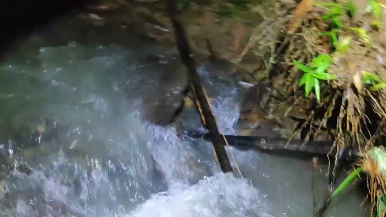 Ka fapa nen Chakai(🦀🦀)Meichher kan chhit//Kan hlawh chham😂😂