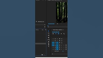 How to Create Number Counter | Adobe Premiere Pro Tutorial | Youtube Shorts