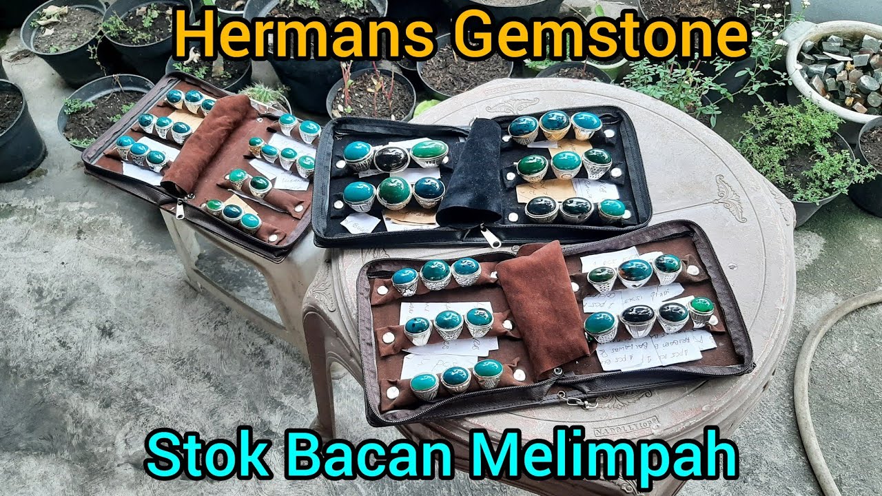 Stok Bacan Gulao dan Mejiko Melimpah, Harga 