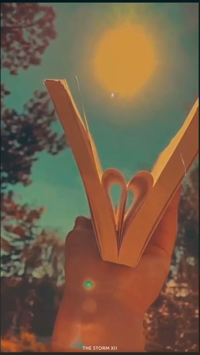 Billie Eillish x Jimin - Lovely x Serendipity Aesthetic Whatsapp Status | English Songs Status |