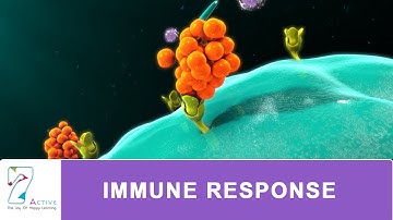 IMMUNE RESPONSE