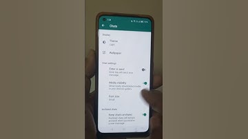 WhatsApp font size change #shorts