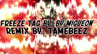 FREEZE TAG TameBee REMIX