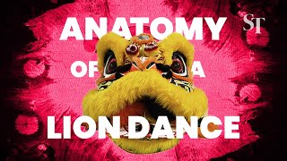 Anatomy Of A Lion Dance