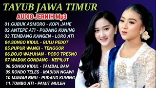 TAYUB AUDIO JERNIH | JAWA TIMUR