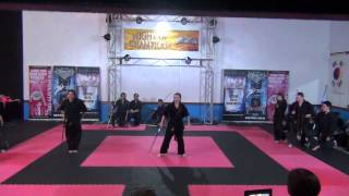 FFMAC Extreme Demo Team Bo demonstration all ages