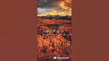 تلاوة تأخذك إلى عالم الهدوء والسكينة صوت يبعت الطمأنينة والسكينة والراحه🍂#القارئ_حمزة_بوديب🍂💙