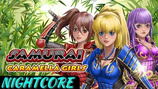 Nightcore - Samurai Jerrycore ʕᴥʔ