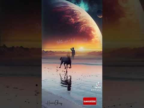 كلام جميل عن تفويض الامر لله اقتباسات اقتباسات واقوال كنز حكم ناشر الحكمة