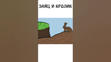 Как еще различить кролика и зайца #академияброкколи #shorts #анимация #шортс #животные