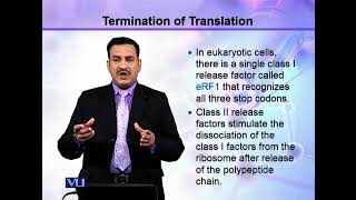 Termination of the Translation (1) | Cell Biology | BIO5105_Topic134