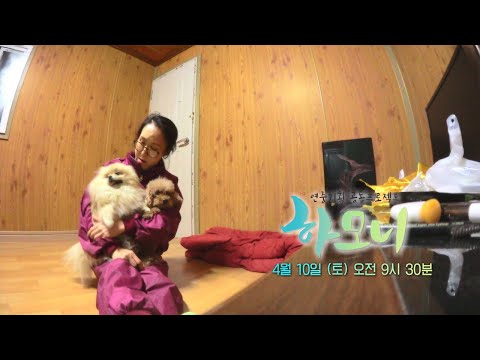 [예고] 하모니 - 버섯과 사랑에 빠진 다문화 가수 헤라 2부 / 연합뉴스TV (YonhapnewsTV)