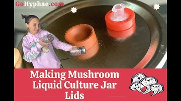 Making Mushroom Liquid Culture Jar Lids