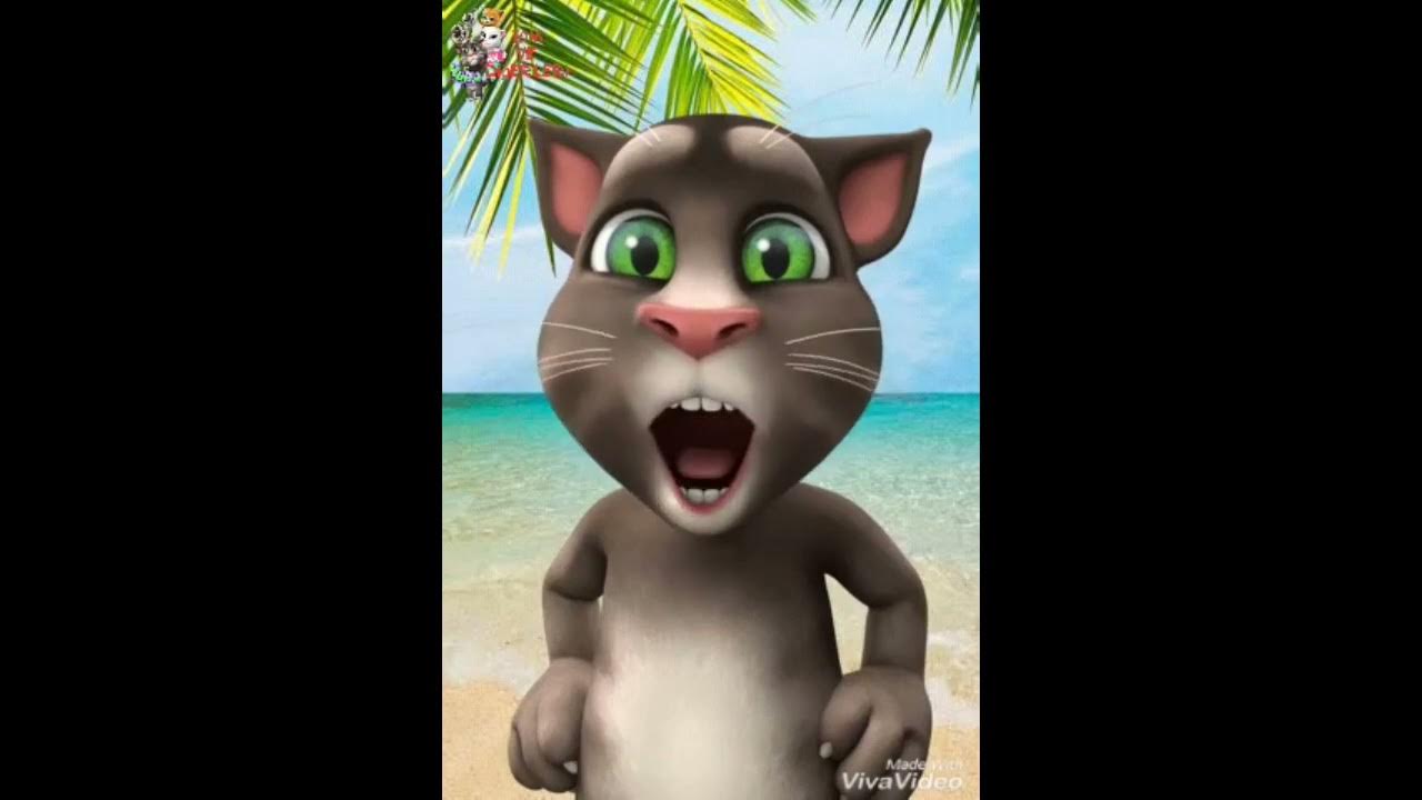 Том поёт в стиле ласковый май. Shake that tail ep 6 talking friends. Песня тома ютуб. Песня тома ютуб. Анджела поет.