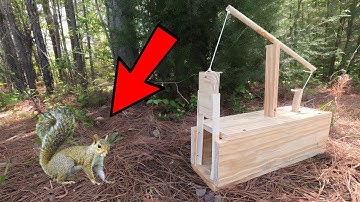 How to make a Squirrel Trap - Catch-alive trap.
