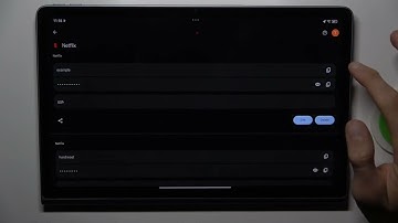 How to Securely Manage Google Passwords on LENOVO Tab Plus 11.5?