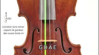 VIOLIN TUNER / STEM BIOLA (STANDAR G D A E) mudah dipahami. ikuti nada sesuai gambar