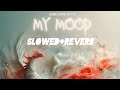 Didine Canon 16 Feat V MY MOOD Slowed Reverb Didine Canon 16 Feat V MY MOOD Slowed Reverb