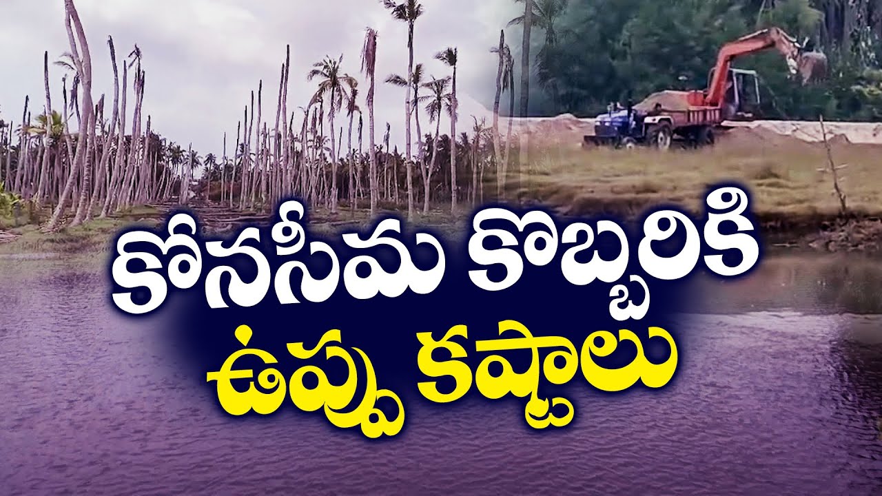 కోనసీమ కొబ్బరికి ఉప్పునీటి కష్టాలు | Saltwater Stagnation kills Coconut Trees Konaseema| Idisangathi