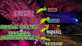 Blink Special Crowd In Born Pink In Manila Philippines - Blackpink World Tour Moments