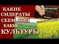 КАКИЕ СИДЕРАТЫ ПОД КАКИЕ ОВОЩИ НАДО СЕЯТЬ ОСЕНЬЮ .СИДЕРАТЫ от кислотности почвы от вредителей