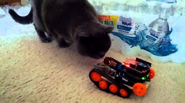 Arduino + truck + xbee + motor + wireless