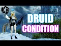 Gw2 wvw  condition druid  ranger gameplay  guild wars 2 build  secrets of the obscure