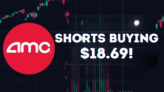 AMC STOCK UPDATE: AMC SHORTS TRADING AT $18.69\/SHARE! EXPOSED!