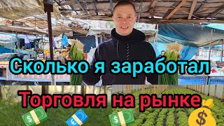 Сколько я заработал денег на рынке 