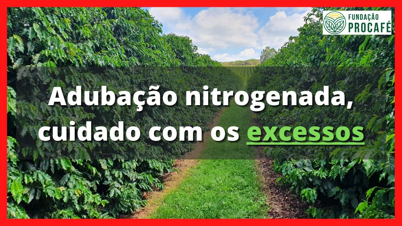 Podcast #61 - Adubação nitrogenada, cuidado com os excessos