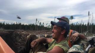 Tree Planting - Kap 2016