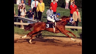 Secretariat's Last Race  Triple Crown Race. O lendario cavalo na última corrida, Toronto, Canadá.