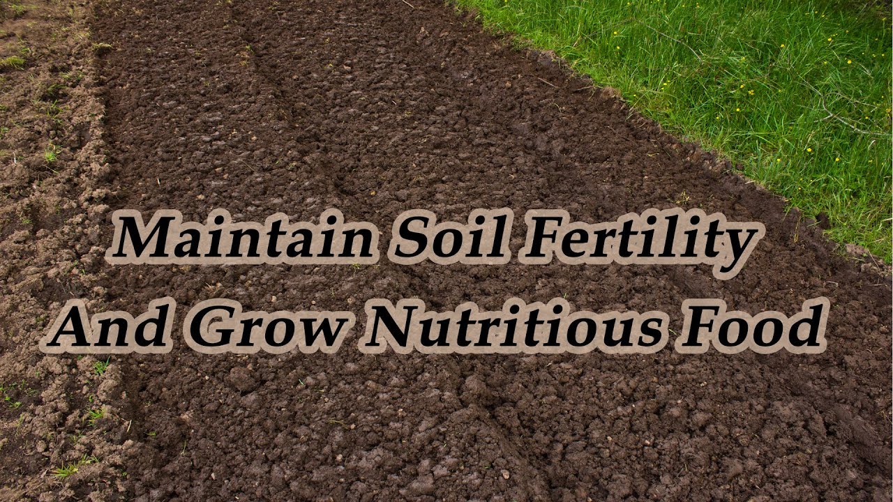 3 Things We Can Do To Improve And Maintain Soil Fertility So We Can