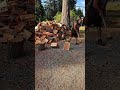 #homeworkout #father #DIY #firewood #woodsplitting