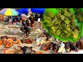 Shocking  omg frog  meats only rs 20  nagaland dimapur super market  best life