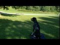 Dog reactive Bluetick Coonhound trained with Off Leash K9 Training, Columbia Dog reactive Bluetick Coonhound trained with Off Leash K9 Training, Columbia
