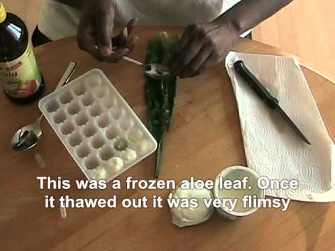 how-to-make-suppositories-for-yeast-and-bacterial-infections