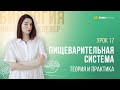 Пищеварительная система   | БИОЛОГИЯ ЕГЭ | Лина Клевер