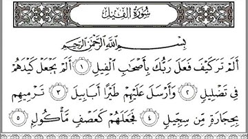 Sourat Al-Fil ( 105 ) سورة الفيل yahya hawwa