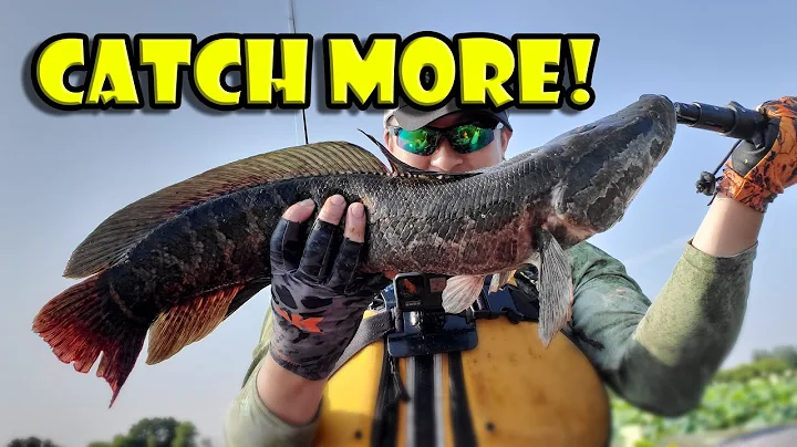 Snakehead Fishing Tips - Summer Fishing Techniques to Catch More Fish