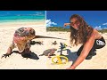 Metal Detecting Iguana Beach (Awesome Finds)