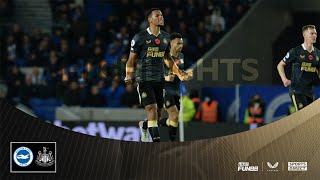 Brighton and Hove Albion 1 Newcastle United 1 | Premier League Highlights