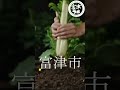 富津リサイクルショップ　④「子どもを、自然に返そう。」