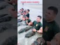 Marine corps Rigorous Training #army #soldier #marinecorps #military #training #usa