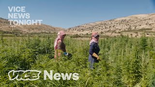 Inside Lebanons Illegal Weed Business
