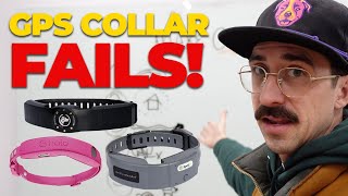 5 Important GPS Collar Tips You NEED To Know